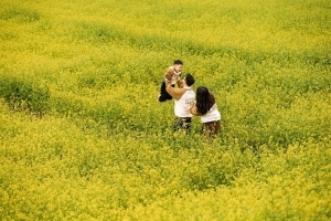 Mộc Châu đang vào mùa đẹp nhất trong năm