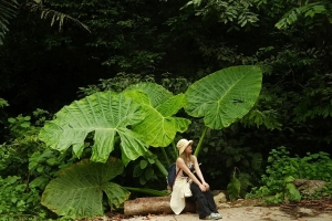 Nín thở trước vẻ đẹp của Cúc Phương