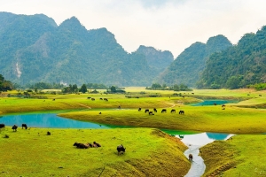 Thảo nguyên Đồng Lâm – “Mông Cổ thu nhỏ” giữa lòng xứ Lạng