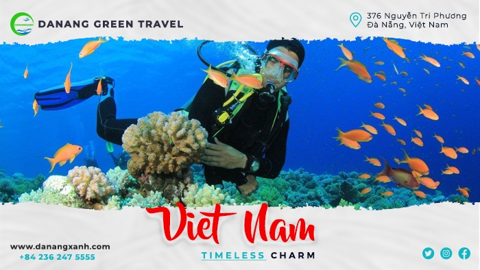 Tour lặn sâu tại Cù Lao Chàm